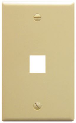 IC107F01IV---1Port-Face-Ivory-