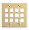 IC107F12IV---12Port-Face---Ivory