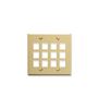 IC107F12IV---12Port-Face---Ivory