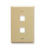 IC107F02IV---2Port-Face-Ivory-