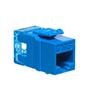 MODULE--CAT-5e--HD--BLUE