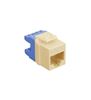 MODULE--CAT-5e--HD--IVORY