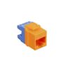 MODULE--CAT-5e--HD--ORANGE