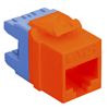 MODULE--CAT-5e--HD--RED