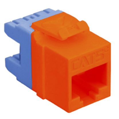 MODULE--CAT-5e--HD--RED