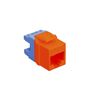 MODULE--CAT-5e--HD--RED