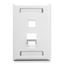 FACEPLATE--ID--ANGLED--1-GANG--2-PORT-WH