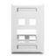 FACEPLATE--ID--ANGLED--1-GANG--4-PORT-WH