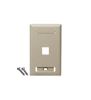 FACEPLATE--ID--1-GANG--1-PORT--IVORY