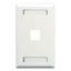 FACEPLATE--ID--1-GANG--1-PORT--WHITE