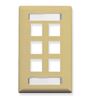 FACEPLATE--ID--1-GANG--6-PORT--IVORY