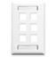FACEPLATE--ID--1-GANG--6-PORT--WHITE