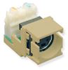 MODULE--S-VIDEO-IDC--IVORY