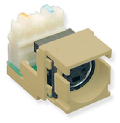MODULE--S-VIDEO-IDC--IVORY