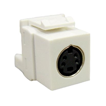 MODULE--S-VIDEO-IDC--WHITE