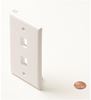 2-Cavity-White-Keystone-Plate