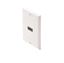 HDMI-Single-Wall-Plate